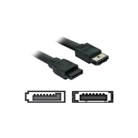 DeLock 84290 S-ATA/eSATA 1m