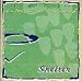 Shelter: Live Worship From Valparaiso Vineyard