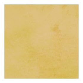 10x20' Infinity Hand Painted Muslin Background (Pisa)