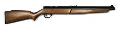 Blue Streak®/Silver Streak® Pneumatic Air Rifle - Blue Streak (Shoots: .20 / Finish: Blue)