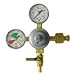 Kitchen & Housewares : Double Gauge CO2 Regulator