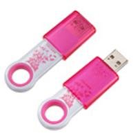 SANDISK CRUZER FLEUR 1GB