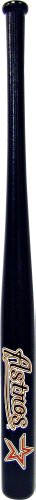 Coopersburg Sports MLB Houston Astros 18-Inch Transfer Bat
