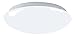 American Fluorescent Shallow Mushroom-Style Cloud - White Finish