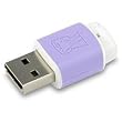 Kingston 2GB Mini Fun Data Traveler USB Flash Drive (DTM/2GB)