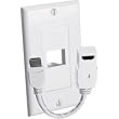 Male In HDmi Wall Plate