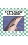 Bottlenose Dolphins