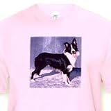 Border Collie - Light Pink Infant Lap-Shoulder Tee (18M)