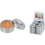 CAPTAINSTAG(キャプテンスタッグ) 缶入りフレーバーキャンドル (バニラ) MK-3249