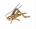 Hearth Cricket - Polished