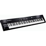 Roland RD-300NX Stage Piano (Standard)
