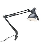 Catalina Lighting W2000BLK Incandescent 34 reach swing arm clamp-on lamp, black