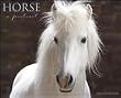 Horse A Portrait 2010 Wall Calendar