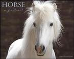 Horse A Portrait 2010 Wall Calendar