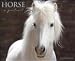 Horse A Portrait 2010 Wall Calendar