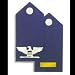 Air Force Laser Cut Insignia Epaulets - Officer (makes Multiple Ranks)