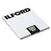Ilford HP5 Plus - Black & white print film - 11 x 14