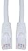 CAT6, UTP, with Molded Boot, 500MHz, White, 25 ft