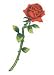 Single Rose Stem Temporary Tattoo