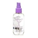 Berman Center Intimate Accessories Berman Center Anti-Bacterial Toy Cleaner 4.3 fl oz (128 ml)