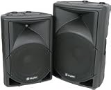 Passive moulded speaker cabinet, 12, 250W.