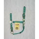 Hamilton Deluxe 1 Nylon Horse Halter with Adjustable Chin and Snap, Green, Large (1100-1600 lbs)