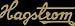 Hagstrom FXB530 Ultralux Bass Guitar (Golden Eagle Burst)