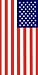 Tropical Print Beach Towel 30x60 -American Flag Design