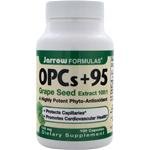Jarrow Formulas, OPCs + 95, 100 mg, 100 Capsules (TRIPLE PACK)