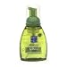 Liquid Foaming Soap Rosmary & Melon - 8.75 oz - Liquid