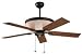 Lighting by Gregory Ellington COD52ABZ5 Cordoba in Aged Bronze