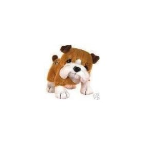 Webkinz Bull Dog