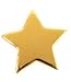 You Rock Cards and Gold Star Lapel Pins (Set of 10)