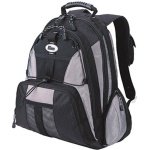 Targus Sport Standard Black/Platinum Nylon 15 Notebook Backpack