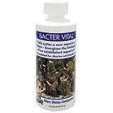 Bacter Vital – 6 oz.