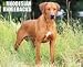 Just Rhodesian Ridgebacks 2010 Wall Calendar