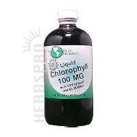 World Organics Liquid Chlorophyll Liquid with Spearmint, 16 Fluid Ounce