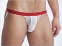 Gregg Homme Basixx Sheer Jock White