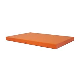 Cargo Premier Archival Storage Presentation Box 11x17 x 1, Color: Saffron.