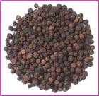 Indus Organic Tellichery Black Peppercorns Pack (3 Packs of 2 Oz)