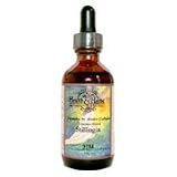 Stillingia - For coughs, bronchitis, and laryngitis. Stimulates the liver and glands, 2 oz., (Health Herb)