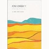 Under the Tuscan Sun (Chinese Edition)