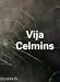 Vija Celmins (Contemporary Artists)