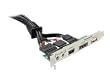 DELOCK Slotblech - HD-Audio/FireWire/eSATAp/USB