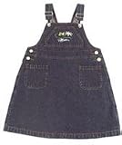 Jeff Gordon Denim Toddler Dress