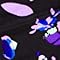Purple Mix
