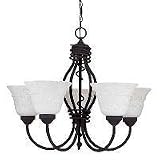 Review Sea Gull Lighting 3136-72 / Sea Gull Lighting 3136-72 Danbury Five-Light Chandelier, Old Iron Finish with Scavo Glass