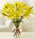 Same Day Flower Delivery Lilies Arranged in a Vase for Sympathy
