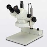 �J�[�g�� �Y�[�����̌����� DSZT-44IF 10�{�`44�{