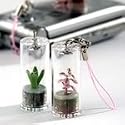 Pet Plants